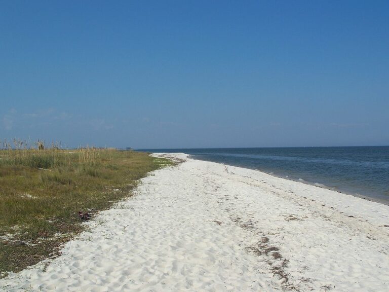 Bald Point State Park – The Florida Guidebook