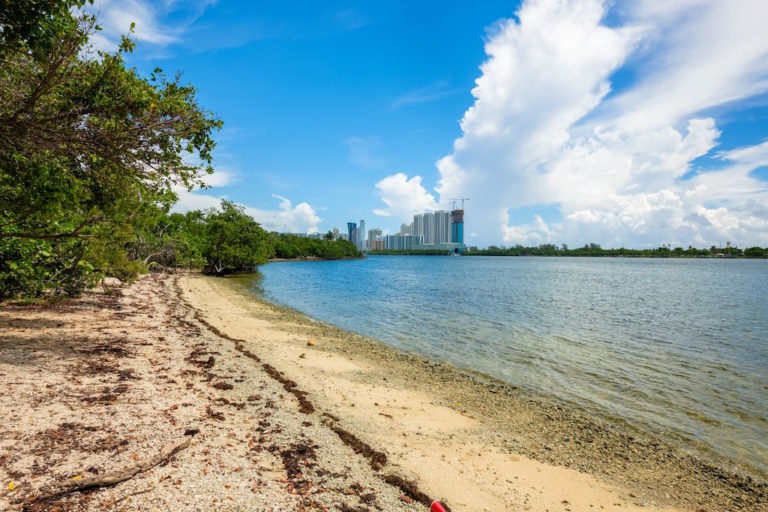 Escape to Paradise:  Oleta River State Park, Florida's Hidden Gem