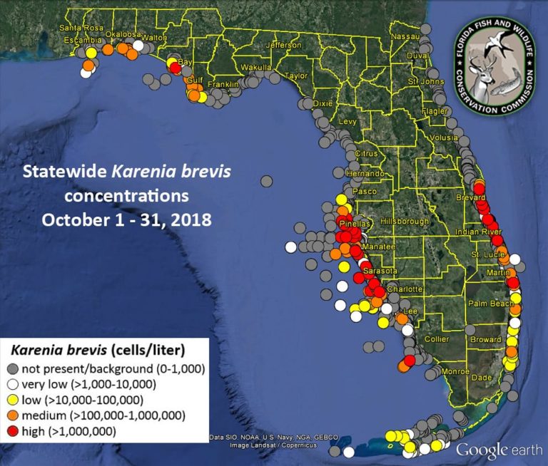 Florida Beach Guide To Red Tide The Florida Guidebook