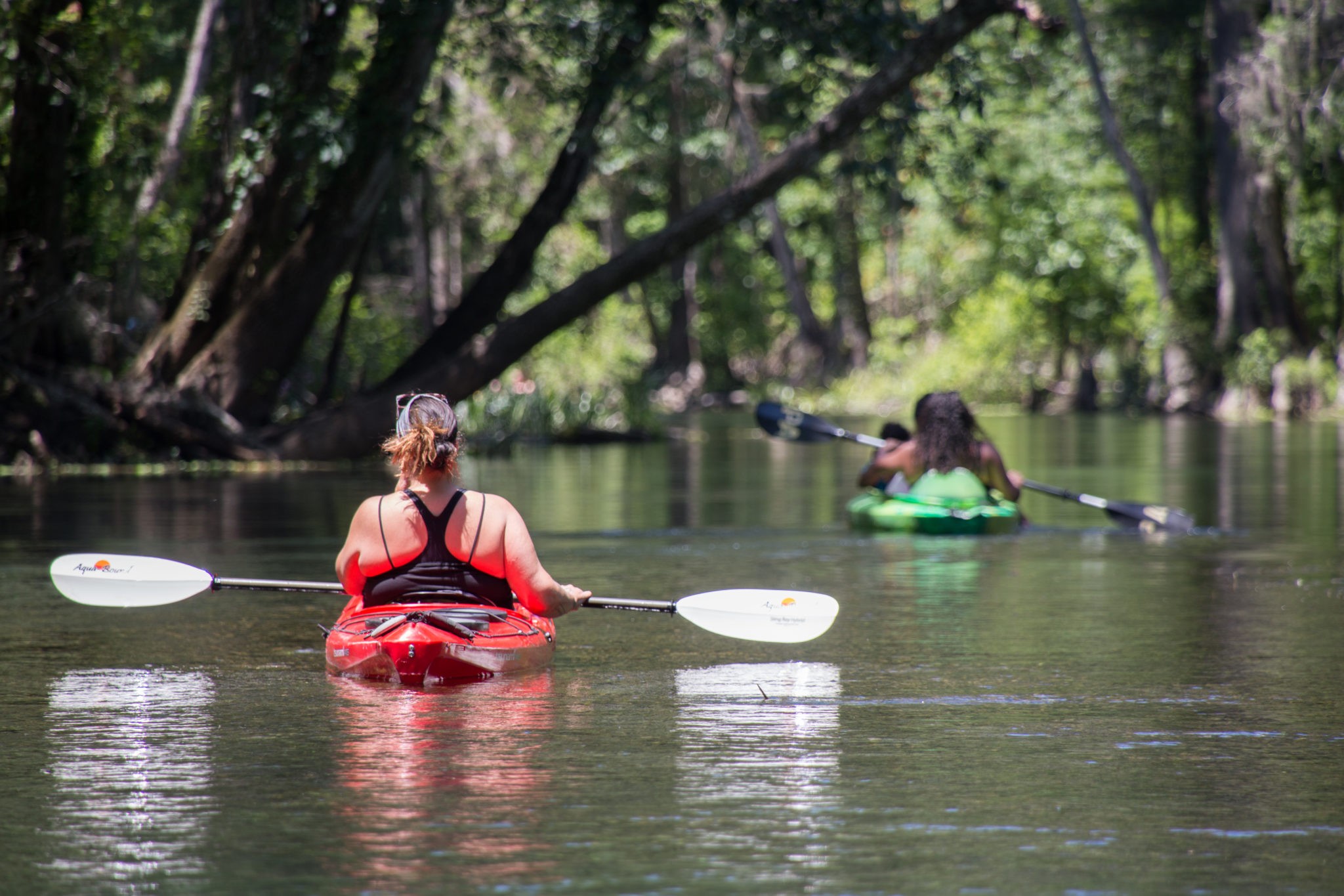 Ichetucknee Springs Campground - Florida Guidebook