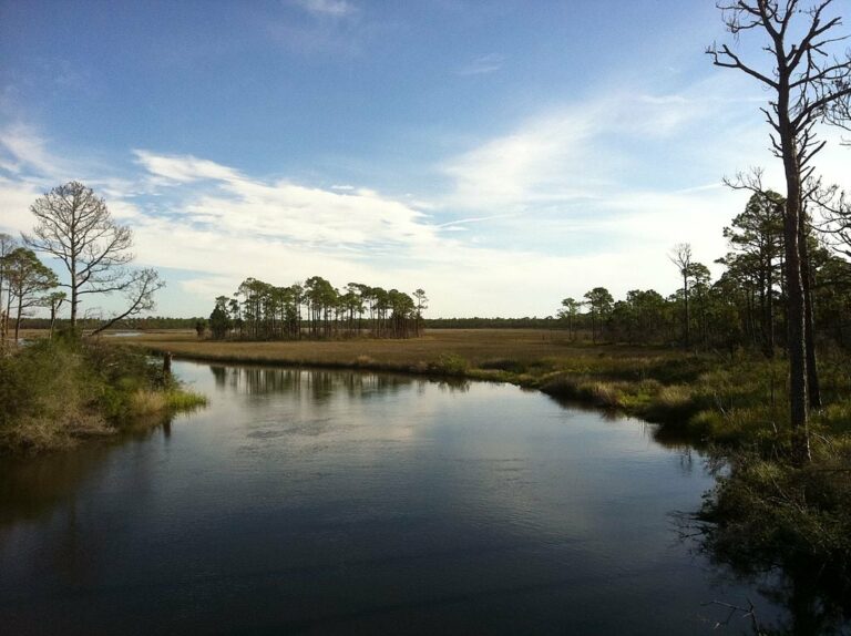 Bald Point State Park – The Florida Guidebook