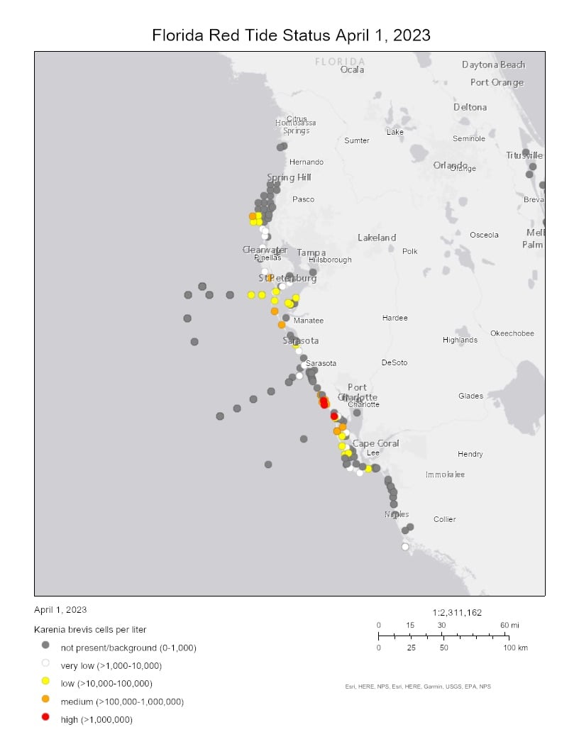 Florida Beach Guide to Red Tide – The Florida Guidebook