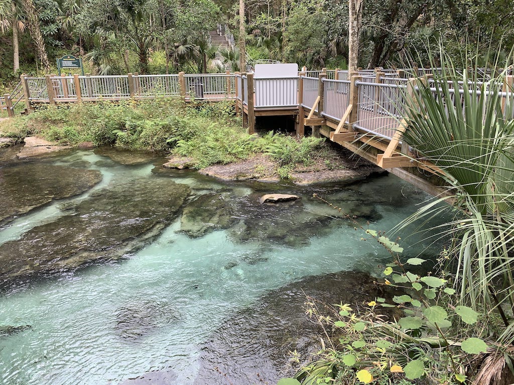 Springs in Florida – The Ultimate Guide to Springs in Florida