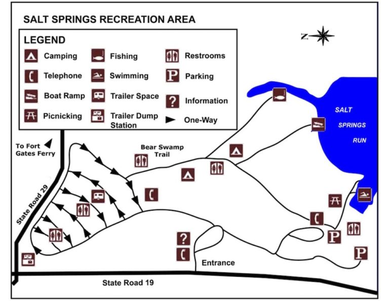 Salt Springs Campground Map 2048x1583 1 768x593 